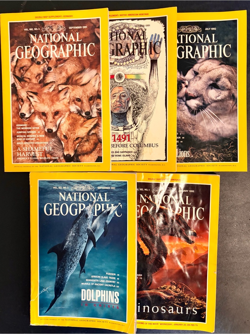 5 National Geographic Magazines 1991-1993 Vintage Illustrated Issues